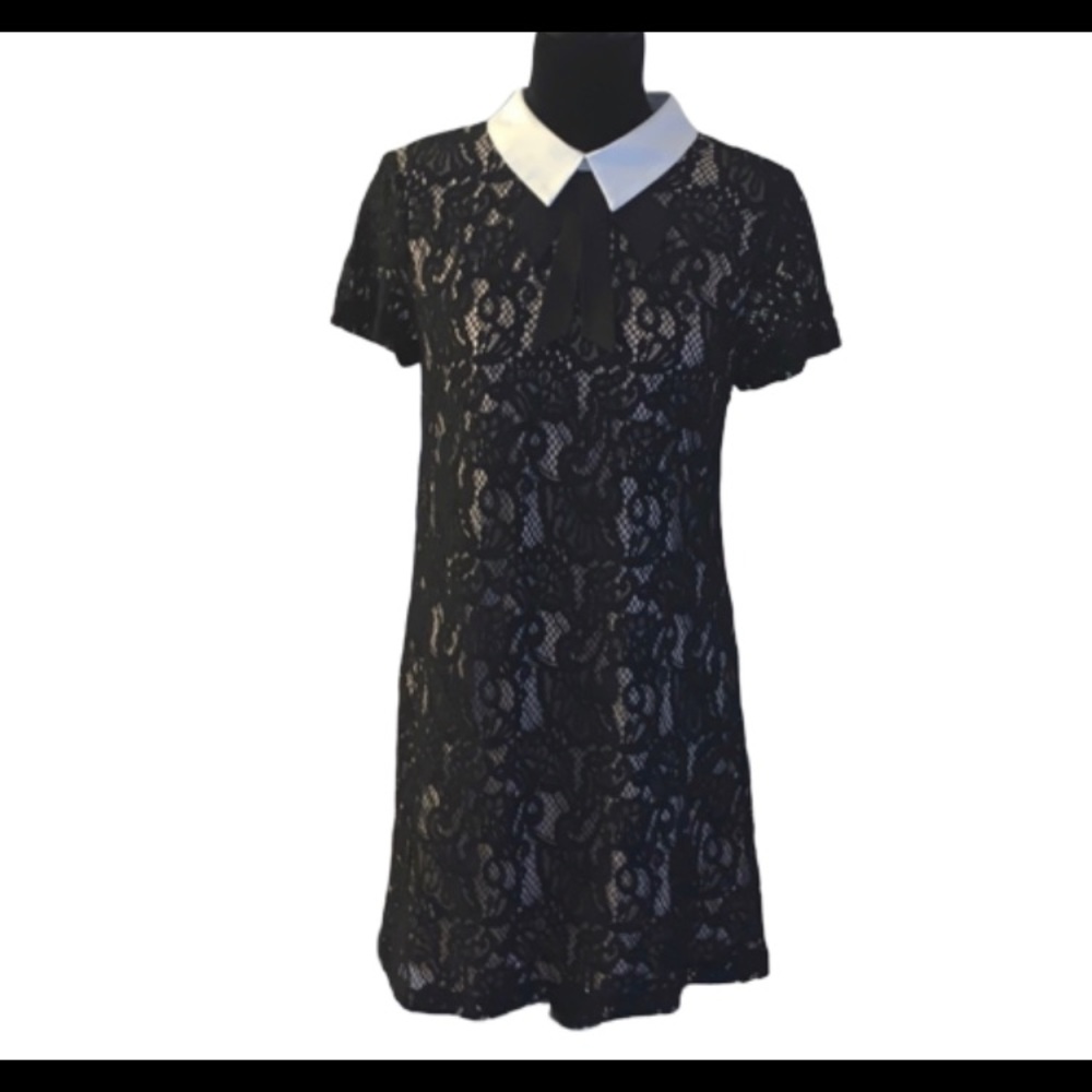 Betsey Johnson Collared Lace Shift Dress - Picture 2 of 9